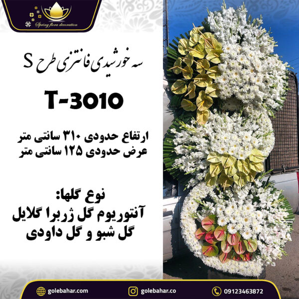 ۳ خورشیدی فانتزی طرح S - کد گل T-3010